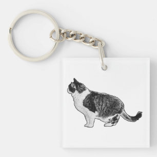 Compact Cat, Soft Glance Key Ring