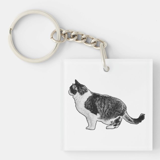 Compact Cat, Soft Glance Key Ring (Front)