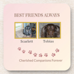 Companions Connected by Pawprints Coaster