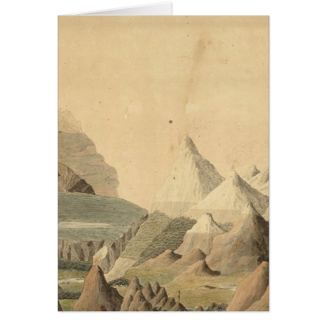 Comparative View (Front)