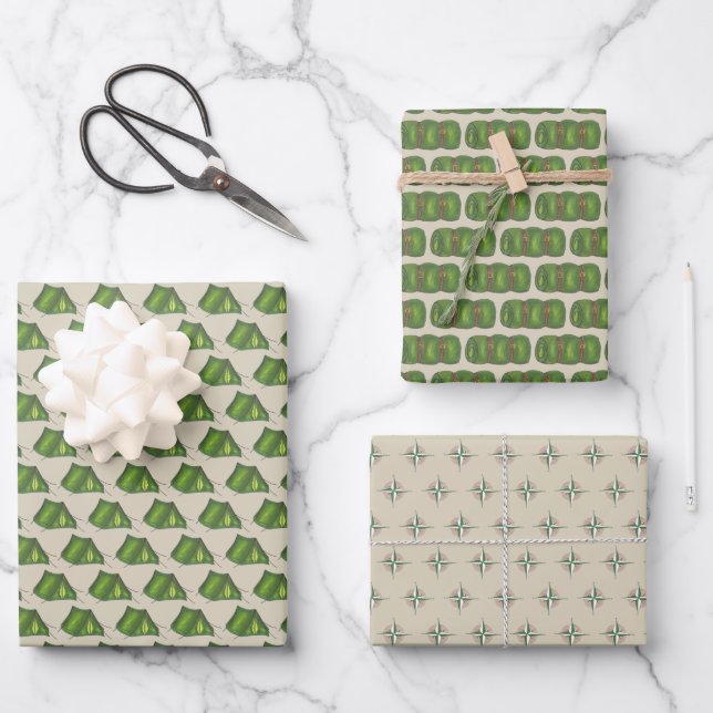 Compass Sleeping Bag Tent Summer Camp Camping Wrapping Paper Sheet (Front)