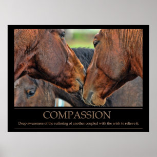 Compassion Poster