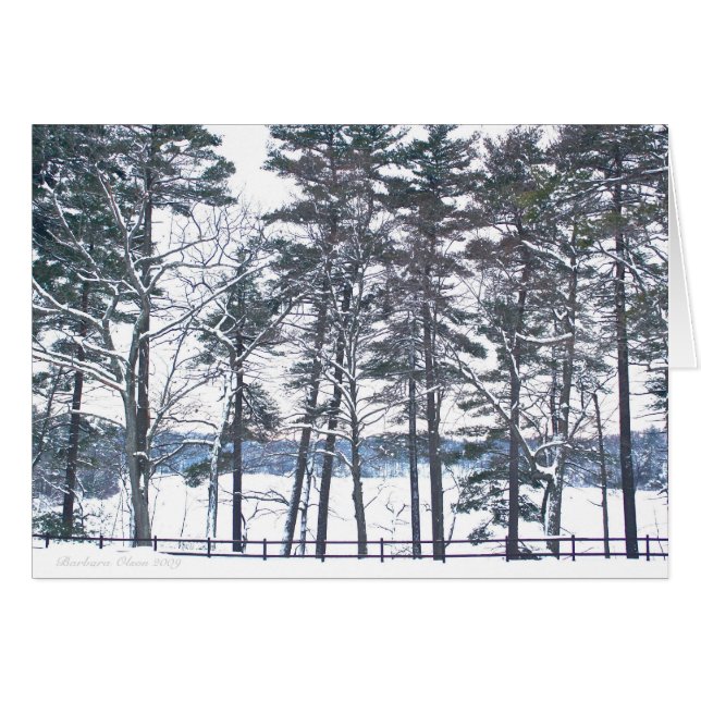 Compensation in Every Disappointment (Front Horizontal)