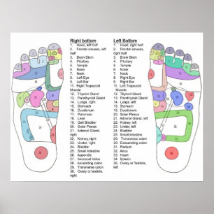 Complete foot Acupressure diagram Poster