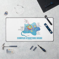 Complex Structure Inside Eukaryotic Cell