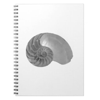 Complexity Simplicity Nautilus Shell Notebook