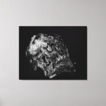 Complexity / Surreal Skull
