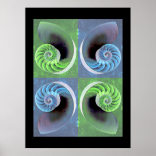 Composite Nautilus Poster