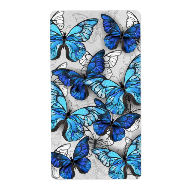 Composition of White and Blue Butterflies (Front)