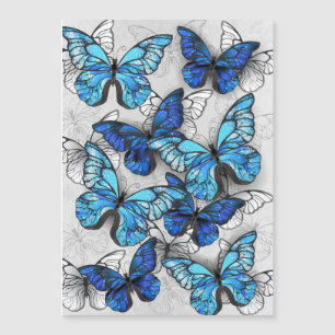 Composition of White and Blue Butterflies