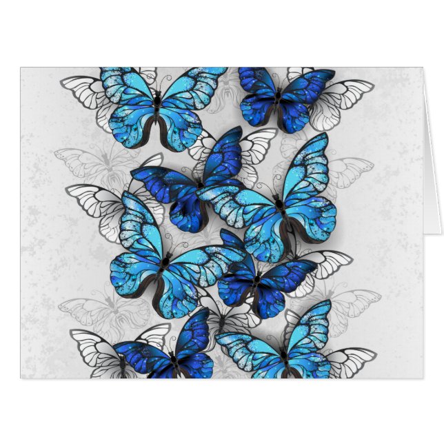 Composition of White and Blue Butterflies (Front Horizontal)