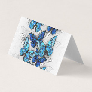 Composition of White and Blue Butterflies