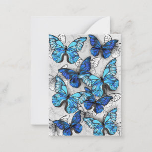 Composition of White and Blue Butterflies Advice Card