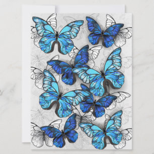 Composition of White and Blue Butterflies Announcement