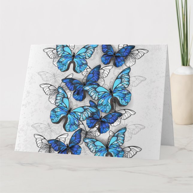 Composition of White and Blue Butterflies Card (Front)