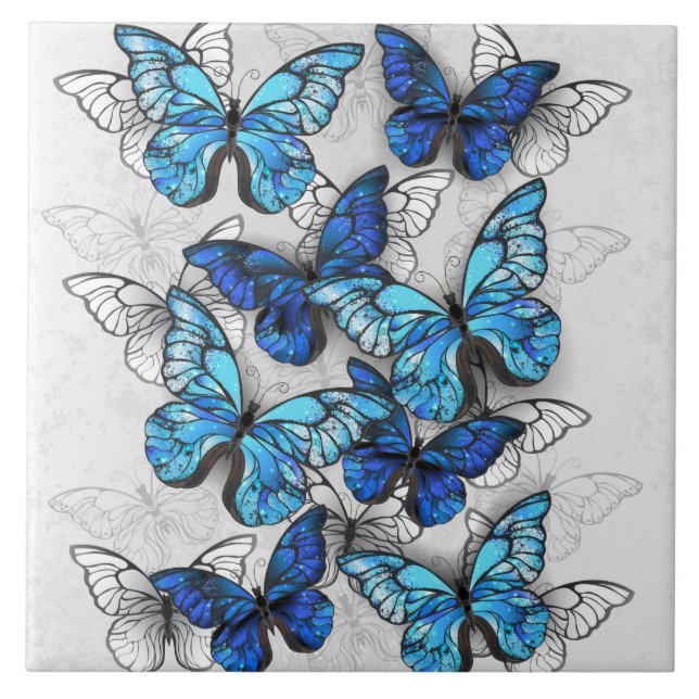 Composition of White and Blue Butterflies Ceramic Tile (Front)