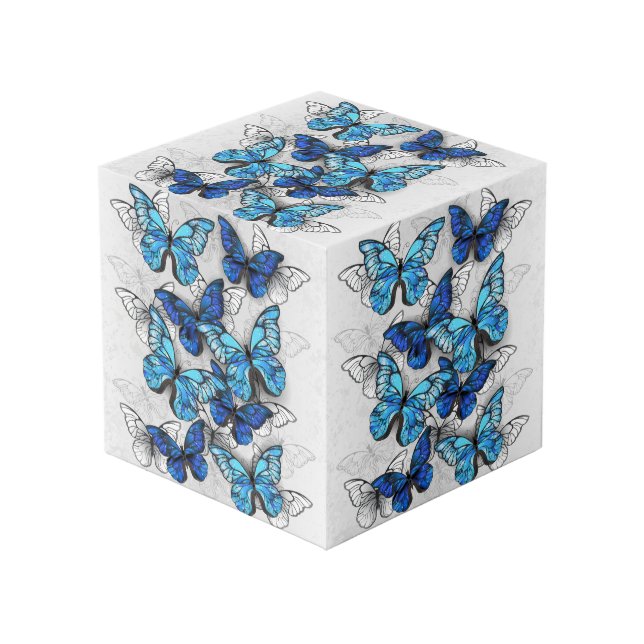 Composition of White and Blue Butterflies Cube (Front Angled)