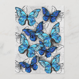 Composition of White and Blue Butterflies Enclosure Card