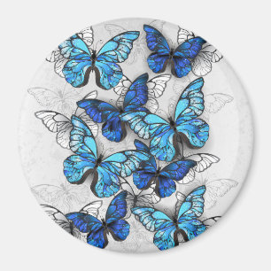Composition of White and Blue Butterflies Magnet