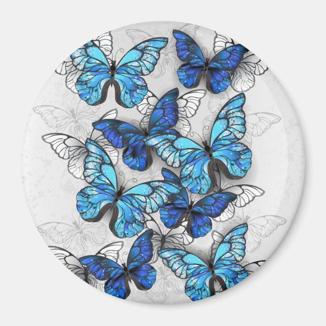 Composition of White and Blue Butterflies Magnet (Front)