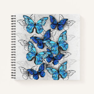 Composition of White and Blue Butterflies Notebook