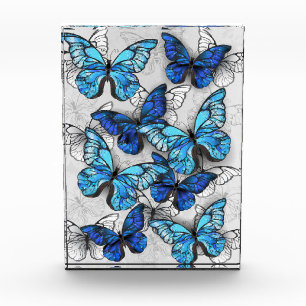 Composition of White and Blue Butterflies Photo Block