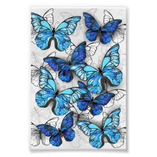 Composition of White and Blue Butterflies Photo Print