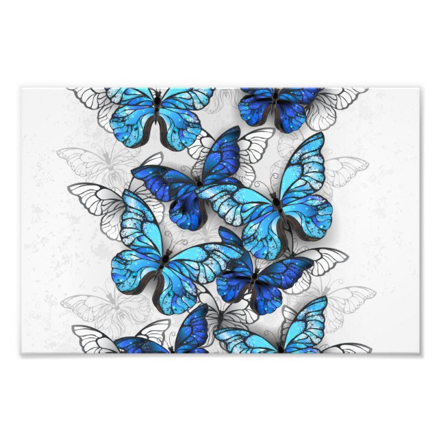 Composition of White and Blue Butterflies Photo Print (Front)