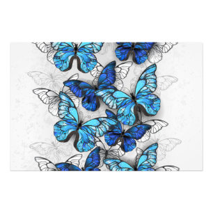 Composition of White and Blue Butterflies Photo Print