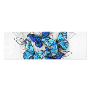 Composition of White and Blue Butterflies Photo Print