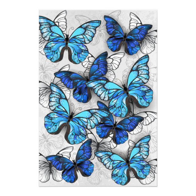 Composition of White and Blue Butterflies Photo Print (Front)