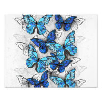 Composition of White and Blue Butterflies