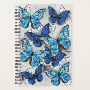 Composition of White and Blue Butterflies Planner