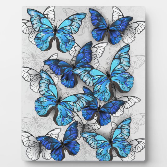 Composition of White and Blue Butterflies Plaque (Front)
