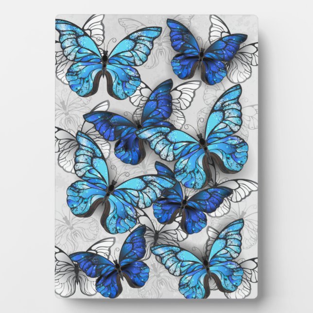 Composition of White and Blue Butterflies Plaque (Front)