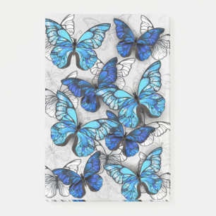 Composition of White and Blue Butterflies Post-it Notes