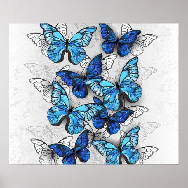 Composition of White and Blue Butterflies Poster (Front)