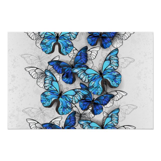 Composition of White and Blue Butterflies Poster (Front)