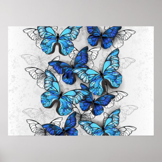 Composition of White and Blue Butterflies Poster (Front)