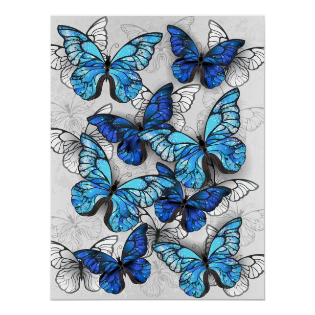 Composition of White and Blue Butterflies Poster (Front)