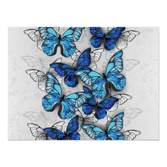 Composition of White and Blue Butterflies Poster (Front)