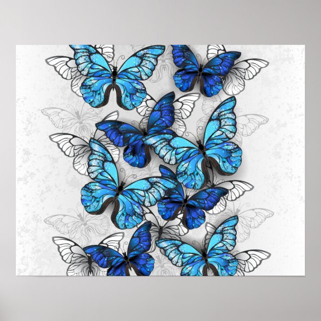 Composition of White and Blue Butterflies Poster (Front)