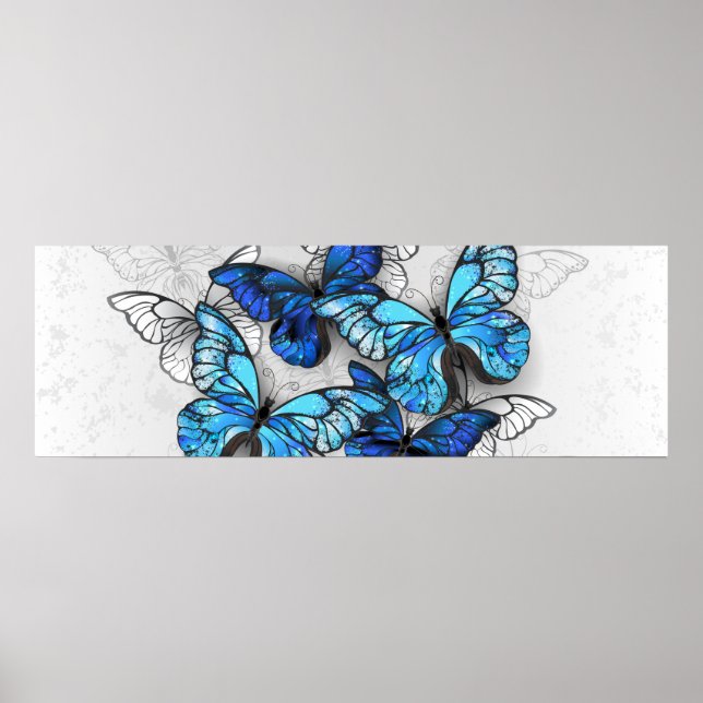 Composition of White and Blue Butterflies Poster (Front)