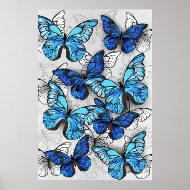 Composition of White and Blue Butterflies Poster (Front)