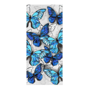Composition of White and Blue Butterflies Rack Card