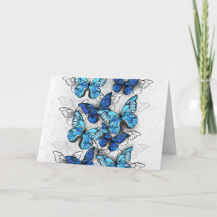 Composition of White and Blue Butterflies Thank You Card