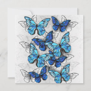 Composition of White and Blue Butterflies Thank You Card