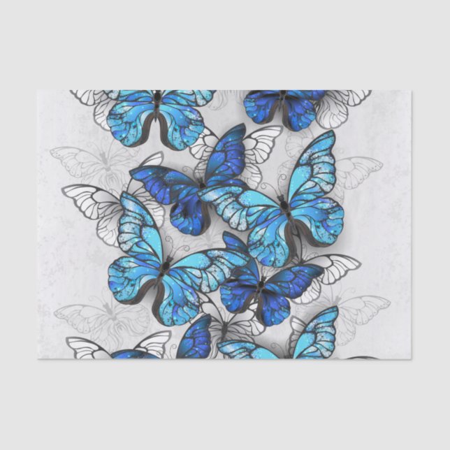Composition of White and Blue Butterflies Tissue Paper (Front)