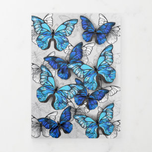 Composition of White and Blue Butterflies Tri-Fold Invitation
