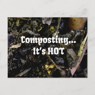 Composting...It's HOT postcard